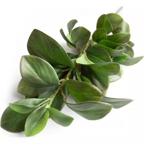 cumpără Plantă artificială Deco Ramura decorativa Peperomia în Chișinău 