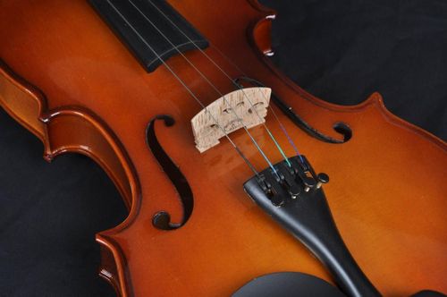 купить Скрипка Hebikuo V03A 4/4 в Кишинёве 