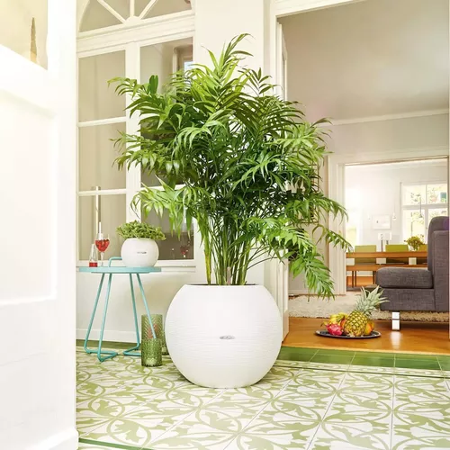 cumpără Ghiveci pentru flori Lechuza Puro Color 50, White în Chișinău 