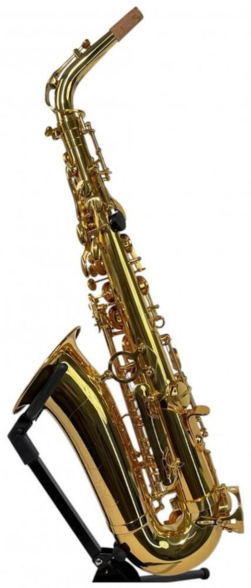 cumpără Instrument muzical de suflat Clifton Mib Saxofon Alto în Chișinău 