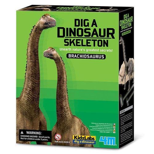 cumpără Set de creație 4M 00-03237 Brachiosaurus Skeleton în Chișinău 