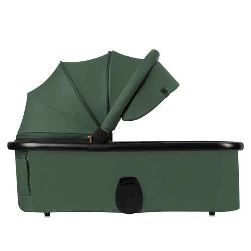 купить Детская коляска Lionelo Carucior 2in1 Layla Green Forest в Кишинёве 