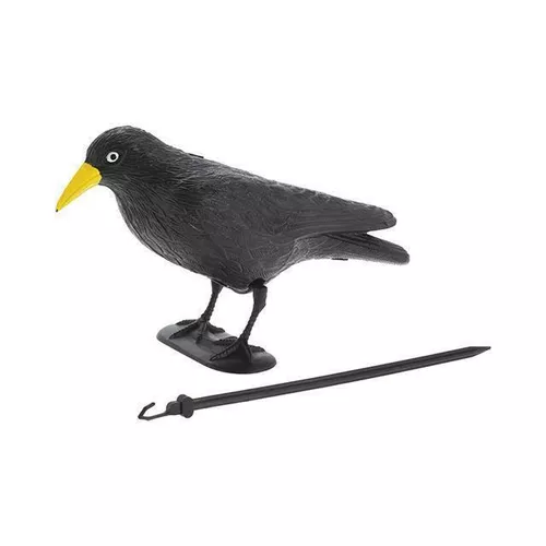 cumpără Decor pentru grădină ProGarden 17013 Ворона 35x19cm în Chișinău 