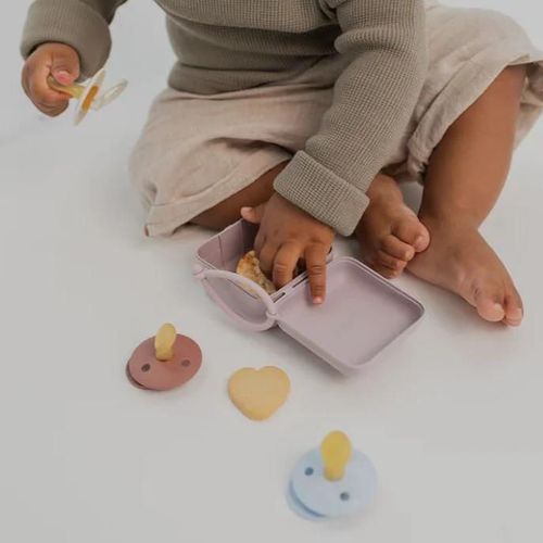 купить Пустышка BIBS 4200267 Cutie multifunctionala Dusky Lilac pentru depozitare suzete в Кишинёве 