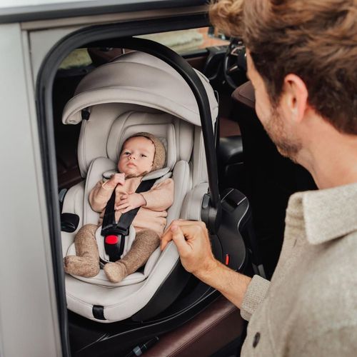 cumpără Scaun auto Britax-Römer BABY-SAFE PRO Mineral Grey Style în Chișinău 