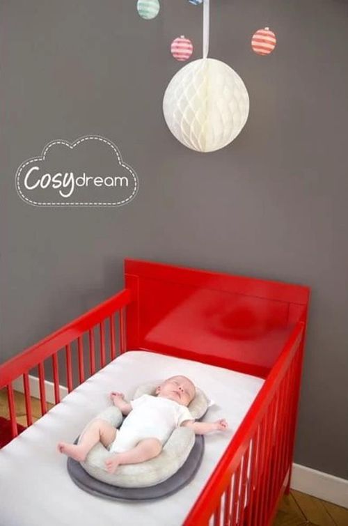 cumpără Cocon pentru bebelusi Babymoov A050406 Suport pentru somn 2 in 1 Cosydream în Chișinău 