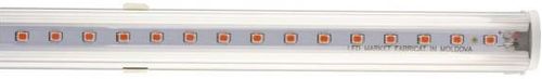 купить Освещение для помещений LED Market LED Tube 24W (1200mm) grow SMD2835 T8, FULL SPECTRUM #1 в Кишинёве 