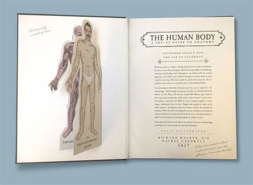 cumpără The Human Body: A Pop-Up Guide to Anatomy (Richard Walker) în Chișinău 