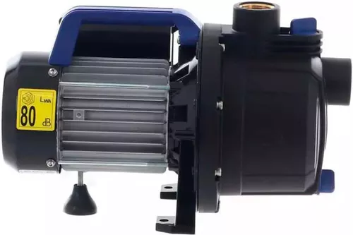 купить Насос Annovi Reverberi 51986 AGRP600p в Кишинёве 