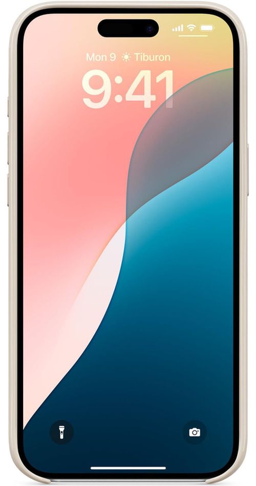 купить Чехол для смартфона Beats iPhone 16 Plus Case with MagSafe Summit Stone MCFH4 в Кишинёве 