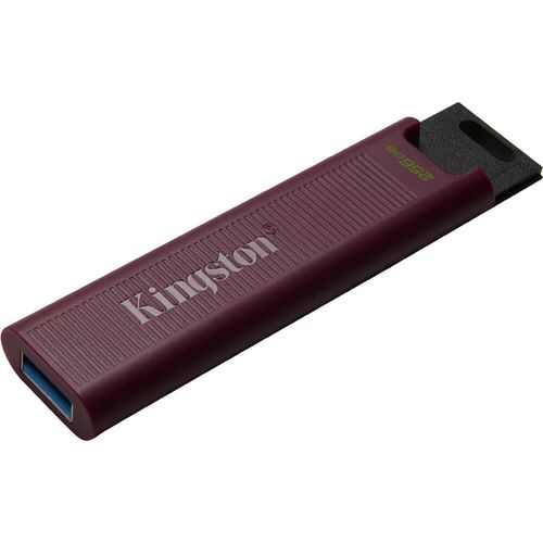 cumpără USB flash memorie Kingston DTMAXA/256GB în Chișinău 