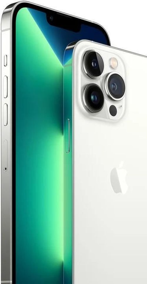 cumpără Smartphone Apple iPhone 13 Pro 256GB Silver MLVF3 în Chișinău 