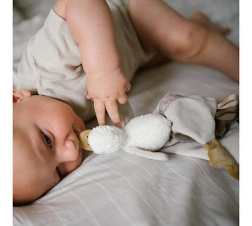 cumpără Jucărie de pluș BabyOno 7403 1559 игрушка-платок Goose Zoe în Chișinău 