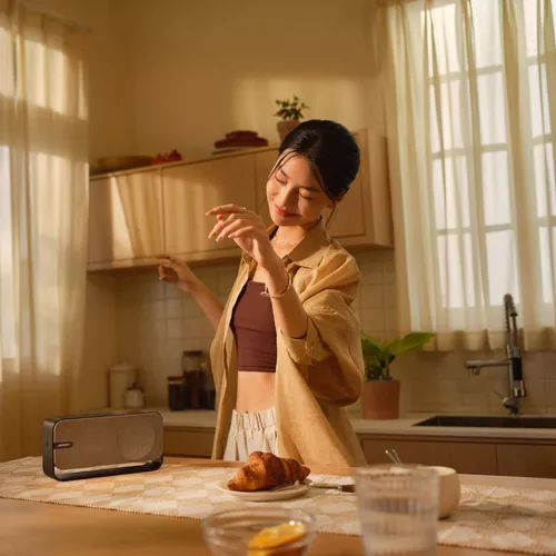 купить Колонка портативная Bluetooth Bose SoundLink Home, Warm Wood в Кишинёве 