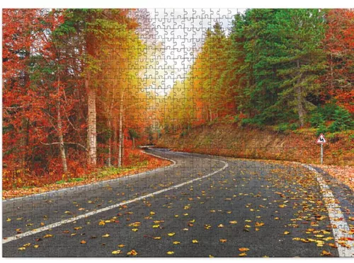 cumpără Puzzle Dodo 301175 Puzzle Pădure de toamnă. Turcia, seria Peisaje, 1000 elem. în Chișinău 