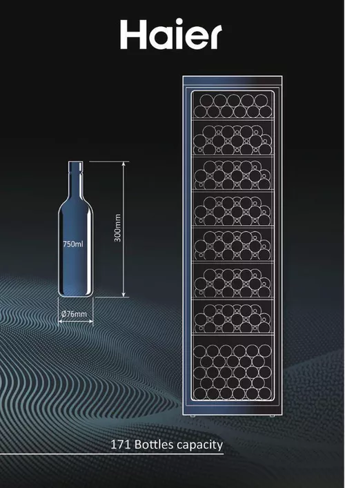 купить Холодильник винный Haier WS171GA в Кишинёве 