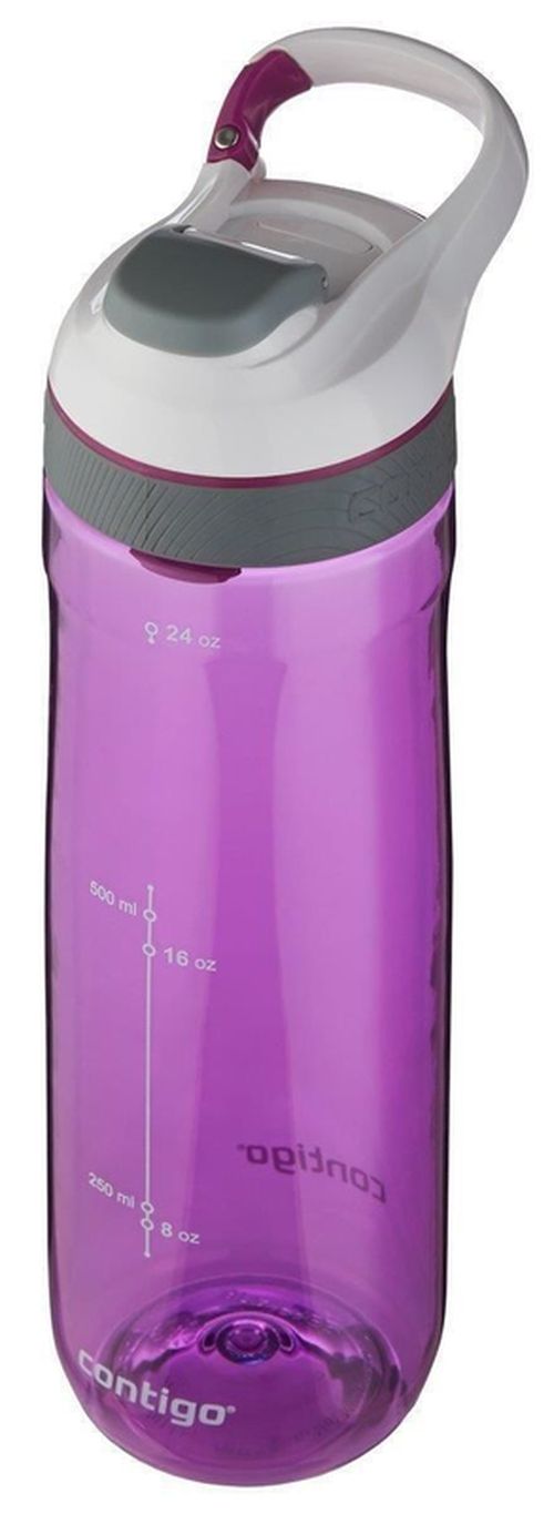 cumpără Sticlă apă Contigo Cortland Tritan Radiant Orchid 720 ml în Chișinău 