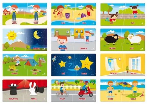 cumpără Puzzle Agerino 1024-50841 Agerino Jocul opozitiilor în Chișinău 
