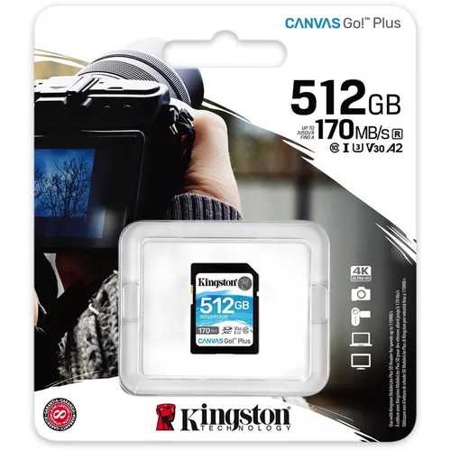 cumpără Card de memorie flash Kingston SDG3/512GB în Chișinău 