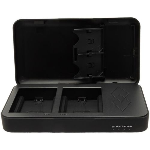 купить Зарядное устройство для фото-видео Patona 4159, Retro Dual Charging Case USB-C for Fuji NP-W235 в Кишинёве 