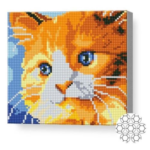 купить Картина по номерам Art Gallery BJ581 Mozaic cu diamante 20x20cm Motanas roscat в Кишинёве 