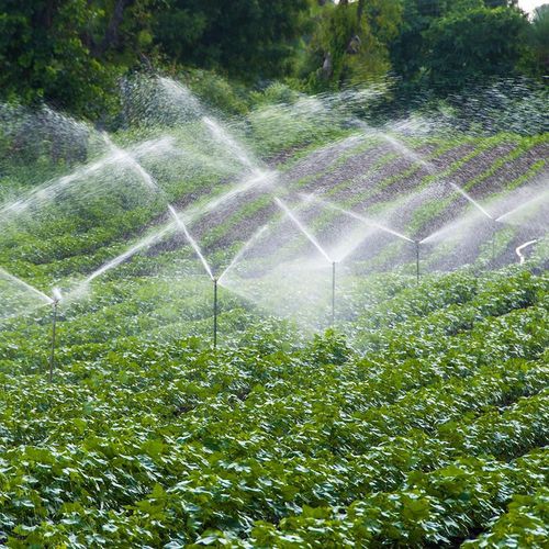 cumpără Aspersor miscellaneous 34788 Aspersor sprinkler D.1" FE reglabil (30º-360º) 13-25m, 2-5bar (rosu) 3404 Junior Atiglan în Chișinău 