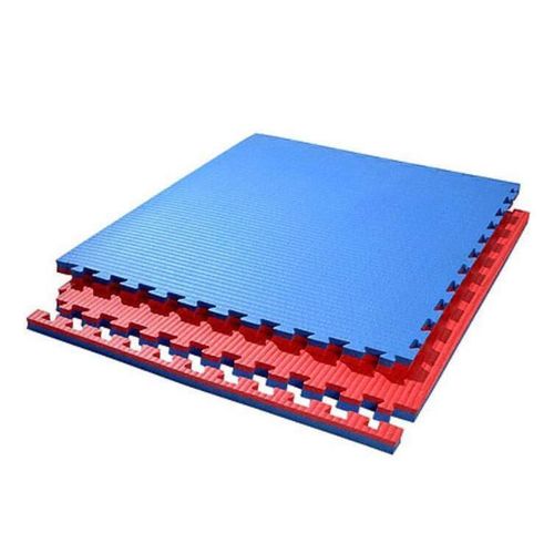 купить Спортивный мат miscellaneous 2455 Tatami mat Eva 2x100x100cm 110kg/m3 (albastru-rosu) в Кишинёве 