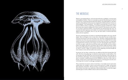 купить Art Forms from the Abyss: Ernst Haeckel's в Кишинёве 
