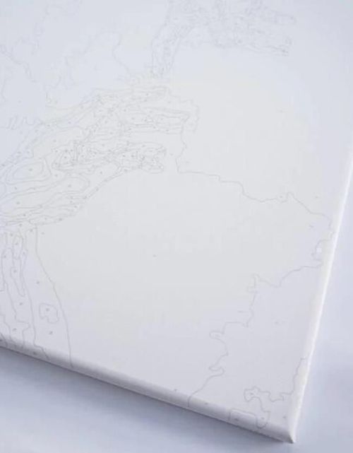 купить Картина по номерам BrushMe BS53568FC 40x50 cm (fără cutie) Flori cosmice в Кишинёве 