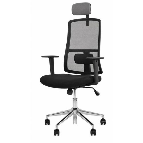 купить Офисное кресло Nowystyl Tela R HR SL CHR64 OH-5/C-11 в Кишинёве 