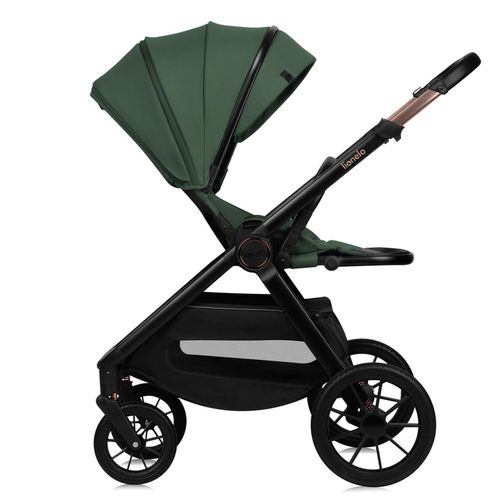 купить Детская коляска Lionelo Carucior 2in1 Layla Green Forest в Кишинёве 