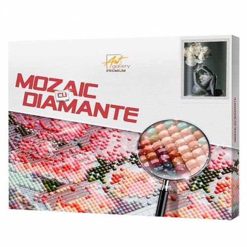 купить Картина по номерам Art Gallery QB205784 Mozaic cu diamante patrate 40x50cm Ganduri bujori в Кишинёве 