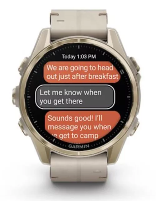 купить Смарт часы Garmin Fenix 8 – 43 mm, Sapphire, Soft Gold Stainless Steel with Fog Gray Leather Band, Fog Gray (010-02903-40) в Кишинёве 