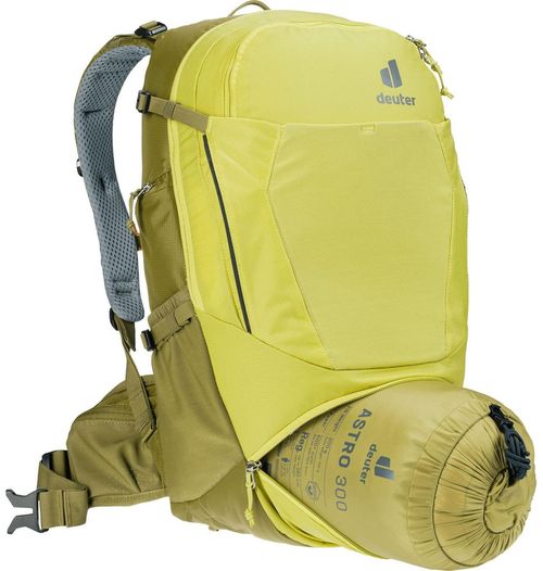 купить Рюкзак спортивный Deuter Trans Alpine 24 sprout-cactus в Кишинёве 