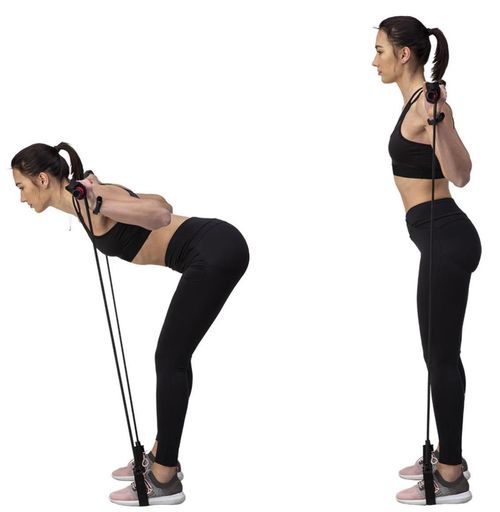 купить Эспандер HMS 3670 Bara+expandere Multifunctional Pilates DC30 (17-32-020) в Кишинёве 