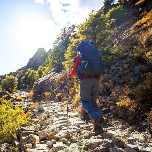 cumpără Rucsac sportiv Osprey Atmos AG 65 II rigby red LG în Chișinău 