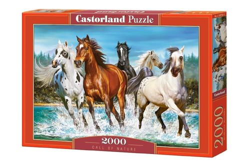 купить Головоломка Castorland Puzzle C-200702 Puzzle 2000 elemente в Кишинёве 