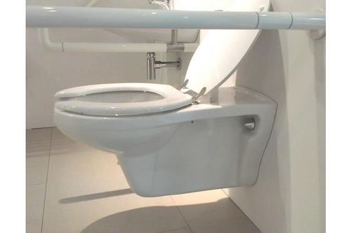 купить Унитаз Creavit Handicap. BD320/KC0403.01 (suspendat) в Кишинёве 