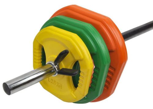 купить Гантель inSPORTline 5259 Disc 5 kg p-u body pump 5049 orange в Кишинёве 