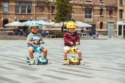 купить Самокат Scoot&Ride 96352 Highway 2in1 Kick 1 Blueberry, 1-5 ani в Кишинёве 