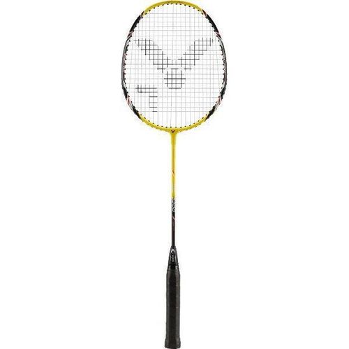 cumpără Echipament pentru badminton Victor 110300 Paleta Badminton AL-2200 în Chișinău 