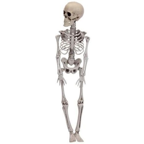 cumpără Decor Promstore 38197 Сувенир Halloween Скелет подвесной 42cm în Chișinău 