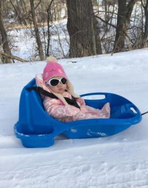 купить Транспорт для детей TSL Outdoor DIDOO Baby Comfort Sled bluels в Кишинёве 