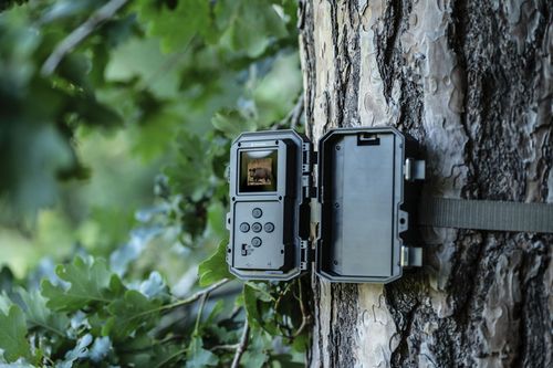 купить Камера наблюдения Bresser 60° wildlife observation 5-20 Mp 20 m в Кишинёве 