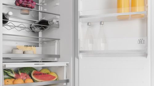 купить Встраиваемый холодильник Teka RBF 78385 FI в Кишинёве 