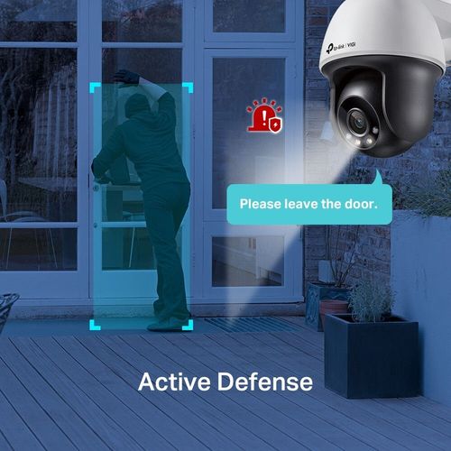 купить Камера наблюдения TP-Link VIGI C540 в Кишинёве 