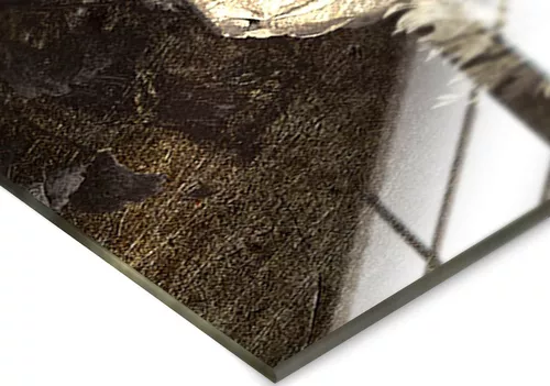 купить Картина Pereflex GL-14051 Glasspik Metallic 70x100cm (GM040) Andr (085339) в Кишинёве 