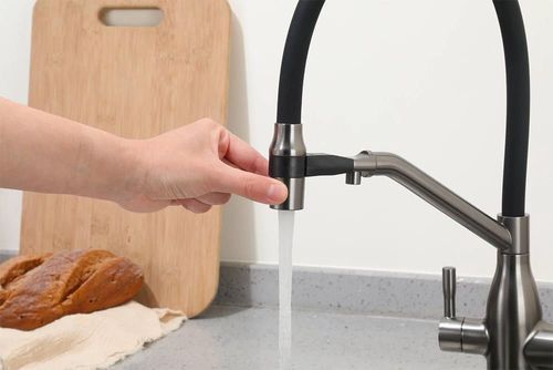 купить Смеситель кухонный Frap F 4397-9 (chiuveta plus flexibil) Alama GRAFIT в Кишинёве 