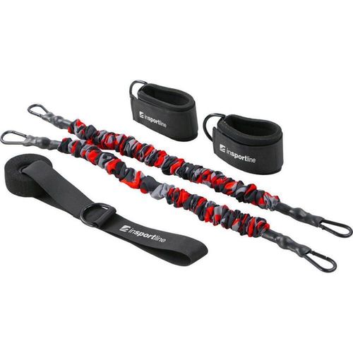 купить Эспандер inSPORTline 10801 Banda de rezistenta 16 kg + curele glezna + fixator usa Striker Door IN24168 в Кишинёве 
