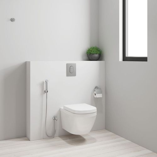 купить Смеситель для биде Grohe New Tempesta F-Trigger (para+furtun+suport) 26354000 в Кишинёве 